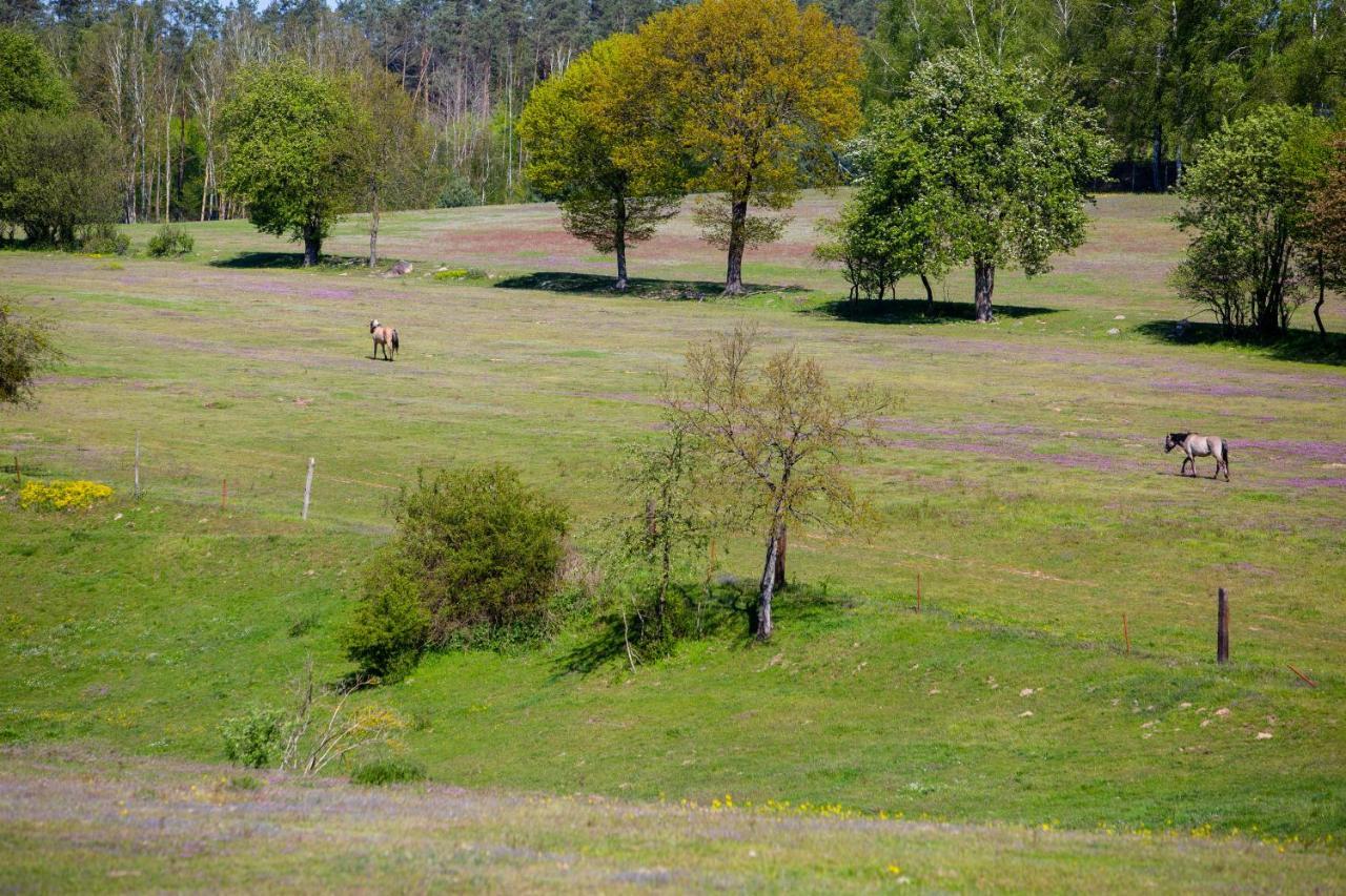 Przystan Lagowek - Domki Letniskowe Exterior foto